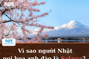  Vì sao người Nhật gọi hoa anh đào là Sakura? 